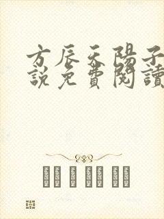方辰天阳子的小说免费阅读封面