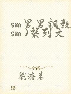 sm男男调教(sm )系列文封面