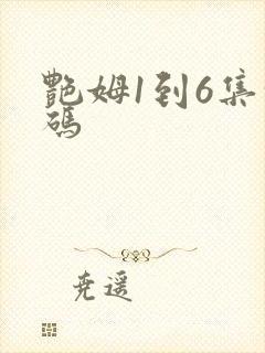 艳姆1到6集转码