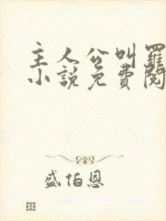 主人公叫罗铮的小说免费阅读笔趣阁