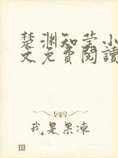 楚渊知莹小说全文免费阅读