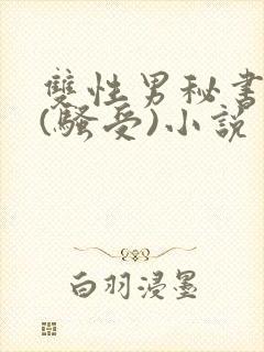 双性男秘书巨乳(骚受)小说