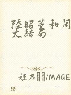 陆昭菱和周时阅大结局