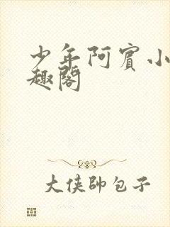 少年阿宾小说笔趣阁