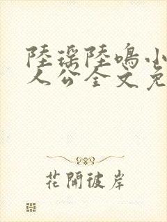 陆瑶陆鸣小说主人公全文免费阅读笔趣阁封面