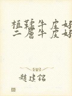 植鞣牛皮好还是二层牛皮好