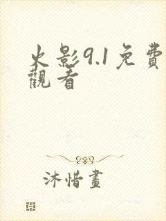 火影9.1免费观看
