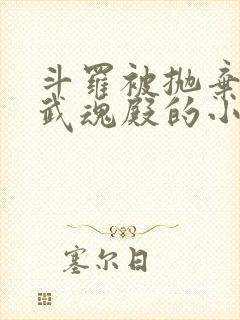 斗罗被抛弃加入武魂殿的小说