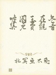 嘘国王在冬眠全集免费观看封面