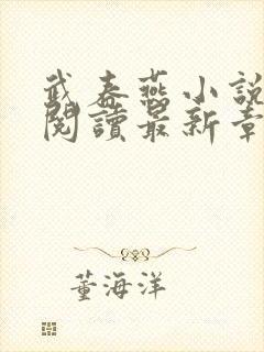 武春燕小说全文阅读最新章节封面