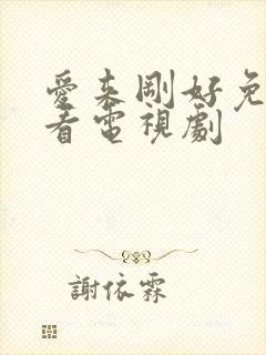 爱来刚好免费观看电视剧封面