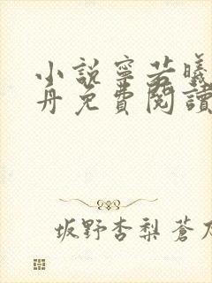 小说宁若曦沈砚舟免费阅读封面