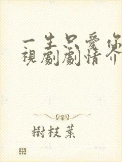 一生只爱你 电视剧剧情介绍