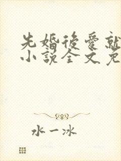 先婚后爱就她吧小说全文免费阅读最