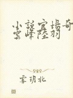 小说官场奇才刘云峰陆羽