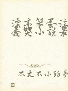 漂亮笨蛋注定被蠢哭小说最新章节列封面