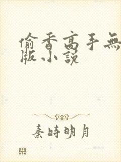 偷香高手无删减版小说封面