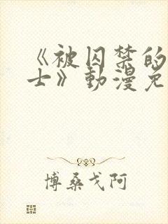 《被囚禁的银骑士》动漫免费观看