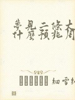 梦见二条大蛇是什么预兆周公解梦