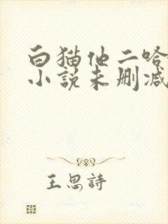 白猫他二哈师尊小说未删减封面
