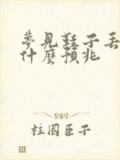 梦见鞋子丢了是什么预兆