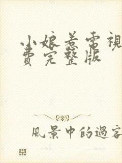 小娘惹电视剧免费完整版