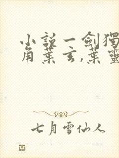 小说一剑独尊主角叶玄,叶灵