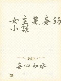 女主是妾的古言小说