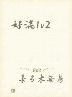 好满1v2