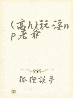 (高h)玩淫np老爷封面