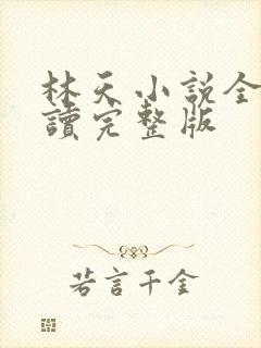 林天小说全文阅读完整版