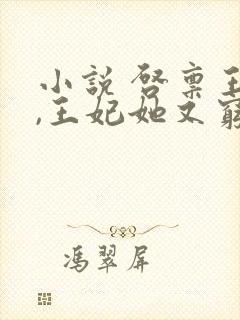 小说 启禀王爷,王妃她又穷疯了