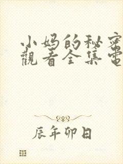 小妈的秘密免费观看全集电视剧封面