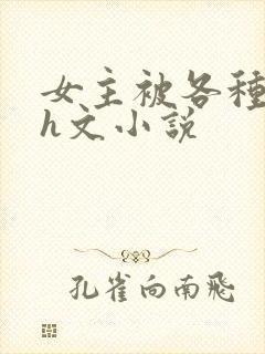 女主被各种调教h文小说