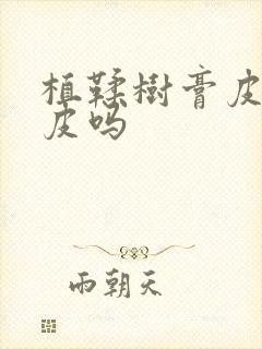 植鞣树膏皮是真皮吗封面