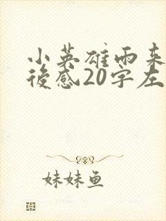 小英雄雨来的读后感20字左右