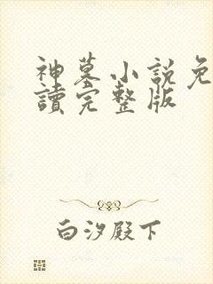 神墓小说免费阅读完整版