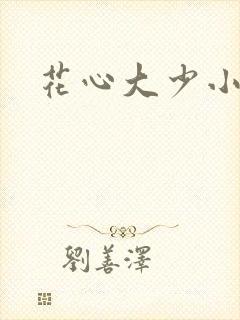 花心大少小说
