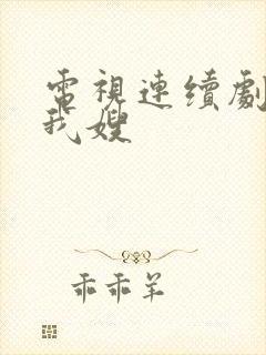 电视连续剧我哥我嫂封面