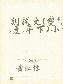 训诫文(双*,,产,年下)小说