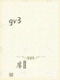 gv3封面