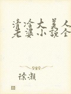 清冷大美人是我老婆小说全文阅读