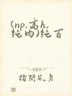 (np,高h,纯肉)纯百