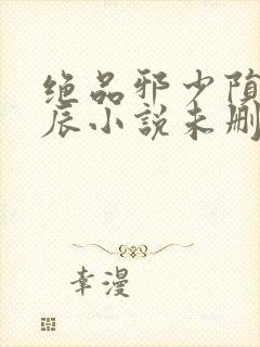 绝品邪少陨落星辰小说未删减版