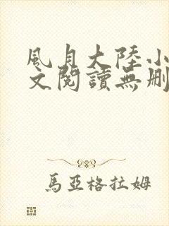 风月大陆小说全文阅读无删减