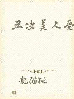 丑攻美人受双性封面