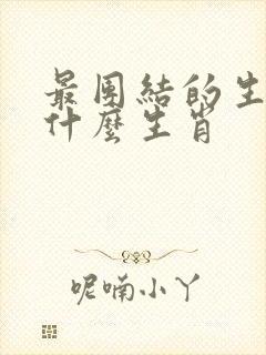 最团结的生肖是什么生肖