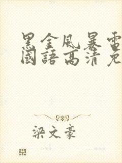 黑金风暴电视剧国语高清免费观看