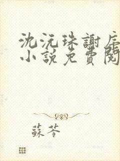 沈沅珠谢序川的小说免费阅读全文封面