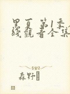 黑夏 第1季在线观看全集免费播放